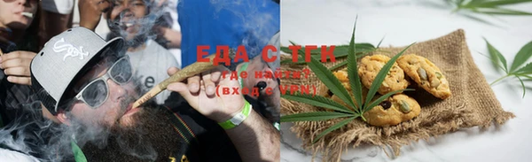 стаф Инта