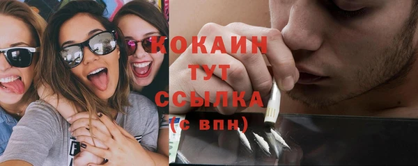стаф Инта