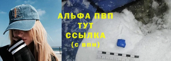 стаф Инта