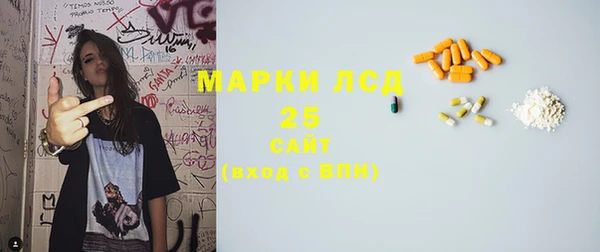 стаф Инта