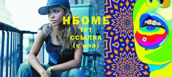 стаф Инта