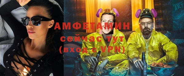 стаф Инта
