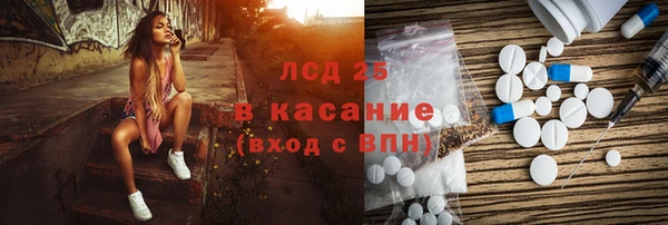 стаф Инта