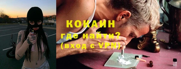 стаф Инта