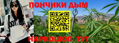 гидра Моздок