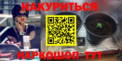 гидра Моздок