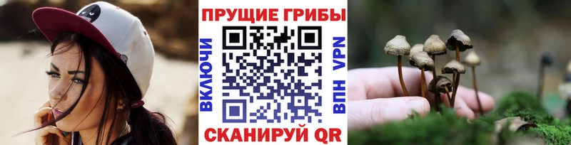 Псилоцибиновые грибы Psilocybine cubensis  где продают   omg вход  Истра 