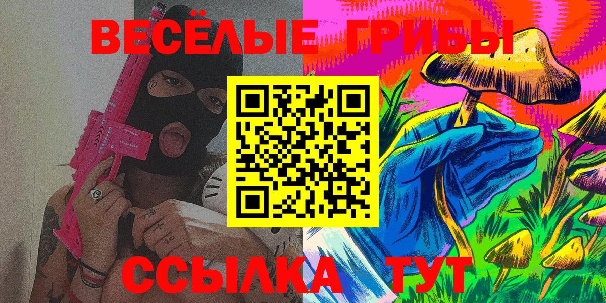 Истра  Псилоцибиновые грибы прущие грибы  Вход с VPN  Галлюциногенные грибы Psilocybe 