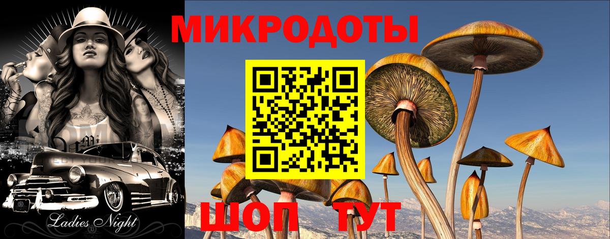 Галлюциногенные грибы Psilocybe Истра